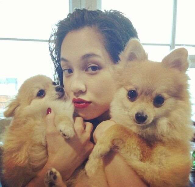野村周平、番組で購入の仔犬にメロメロ！さっそくインスタで公開！