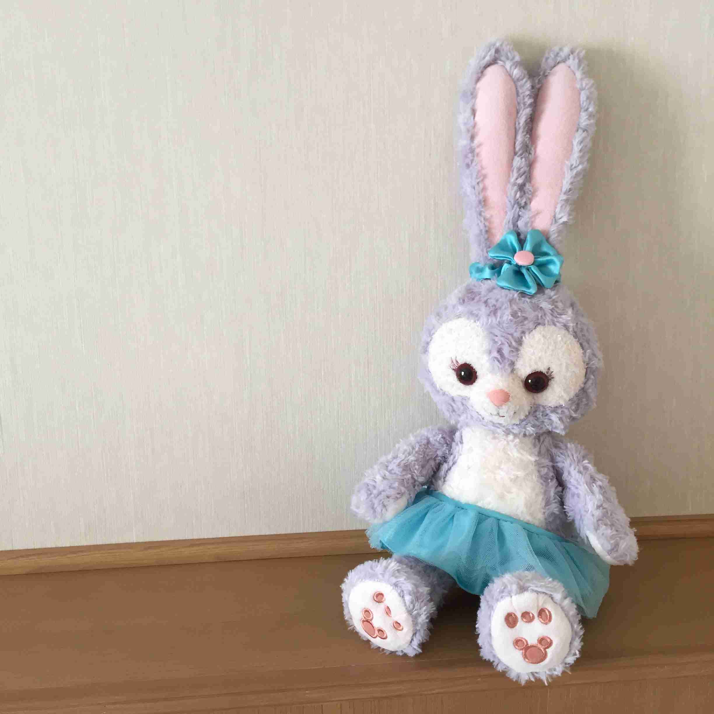 ディズニーランド＆シーで買ったことある物