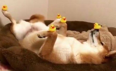 【ネタトピ】自分を天才だと確信した瞬間