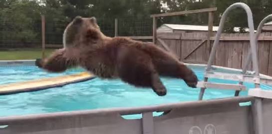 【あなたの画像フォルダのとっておき】見せてください～