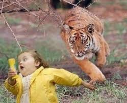 【あなたの画像フォルダのとっておき】見せてください～