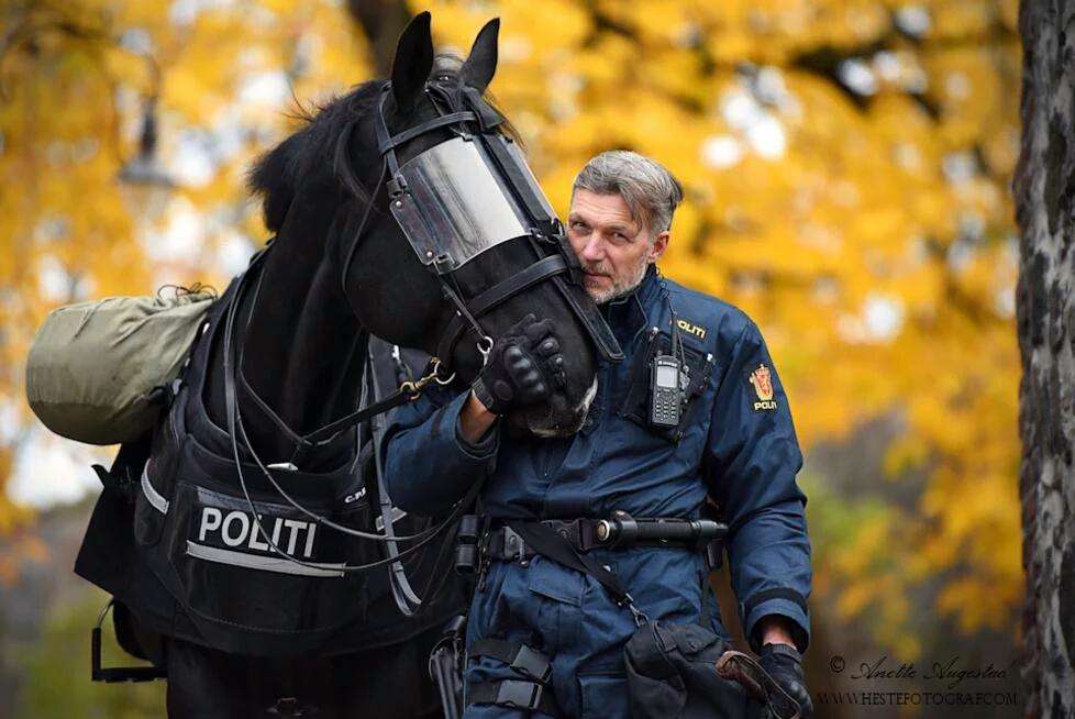 【あなたの画像フォルダのとっておき】見せてください～