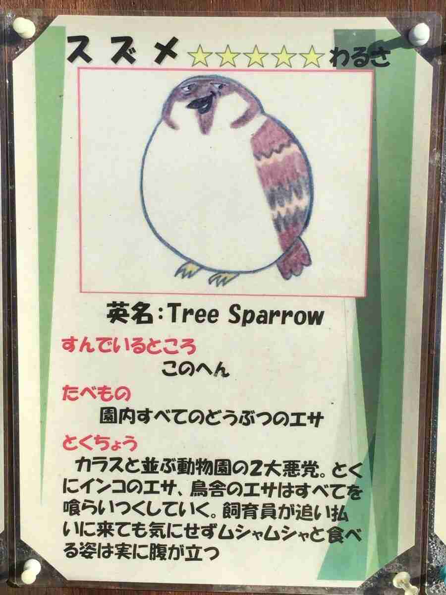 【あなたの画像フォルダのとっておき】見せてください～