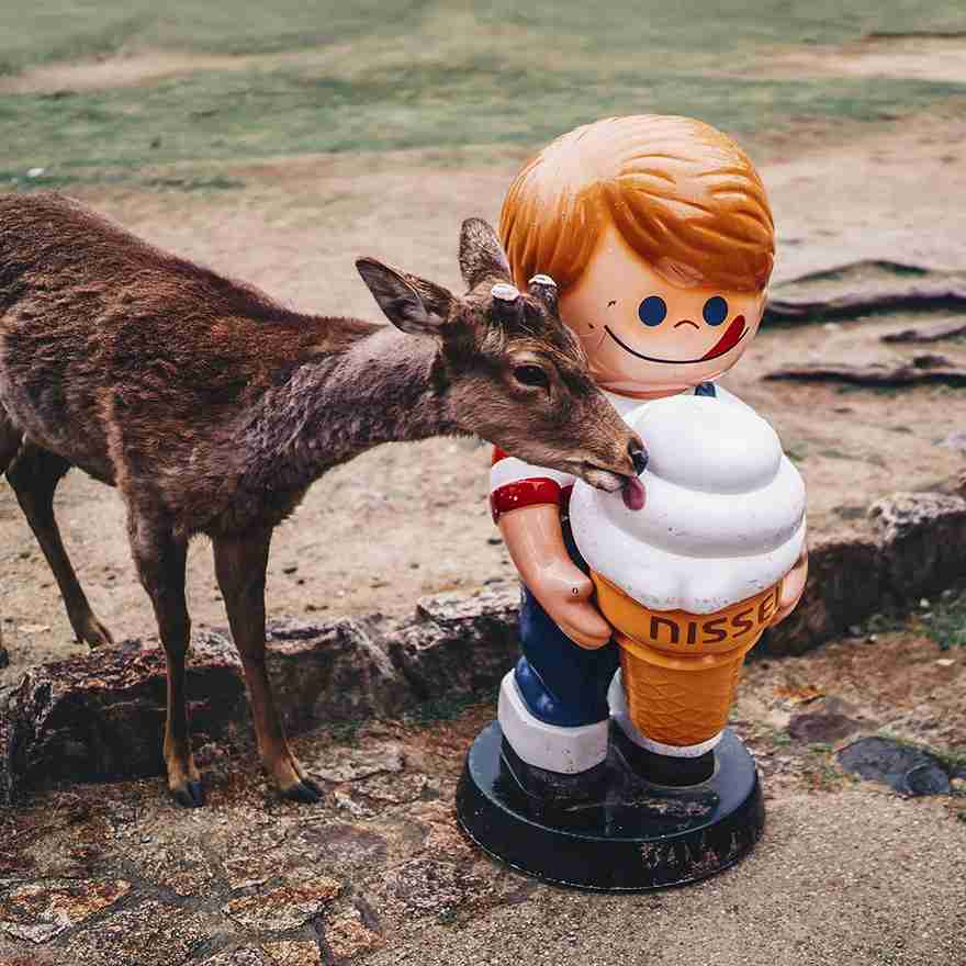 【あなたの画像フォルダのとっておき】見せてください～