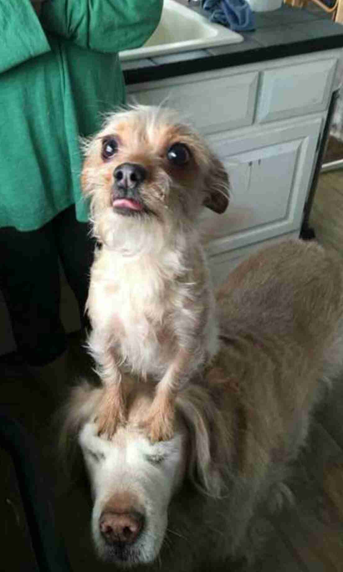 【あなたの画像フォルダのとっておき】見せてください～