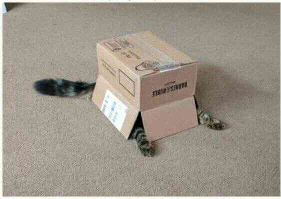 【あなたの画像フォルダのとっておき】見せてください～