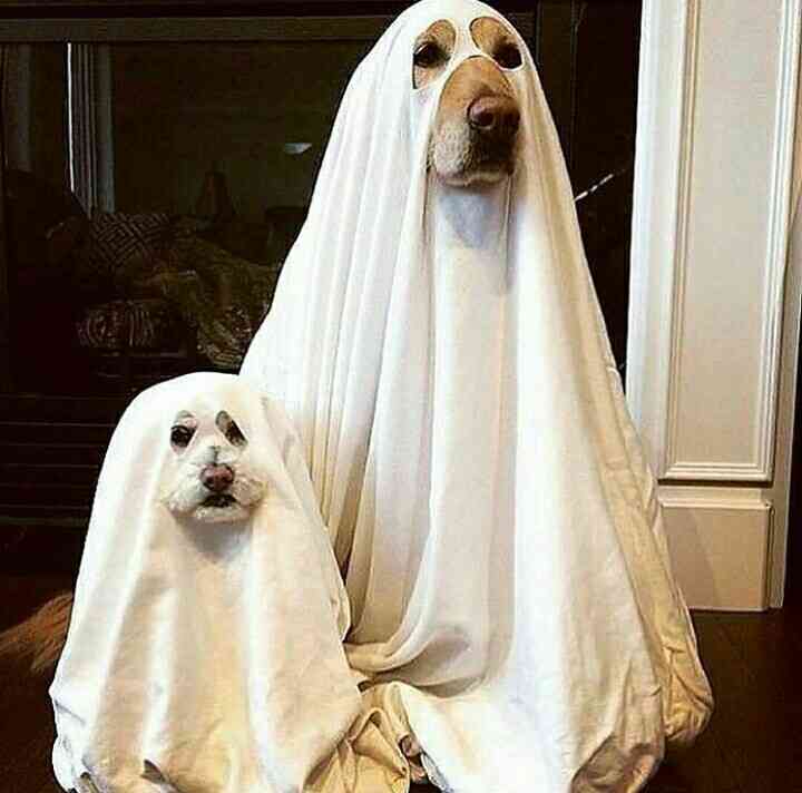 【あなたの画像フォルダのとっておき】見せてください～