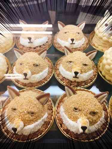 【あなたの画像フォルダのとっておき】見せてください～