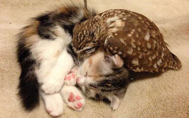 【あなたの画像フォルダのとっておき】見せてください～