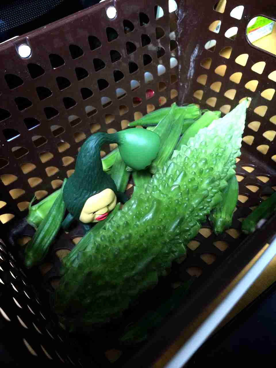 【あなたの画像フォルダのとっておき】見せてください～