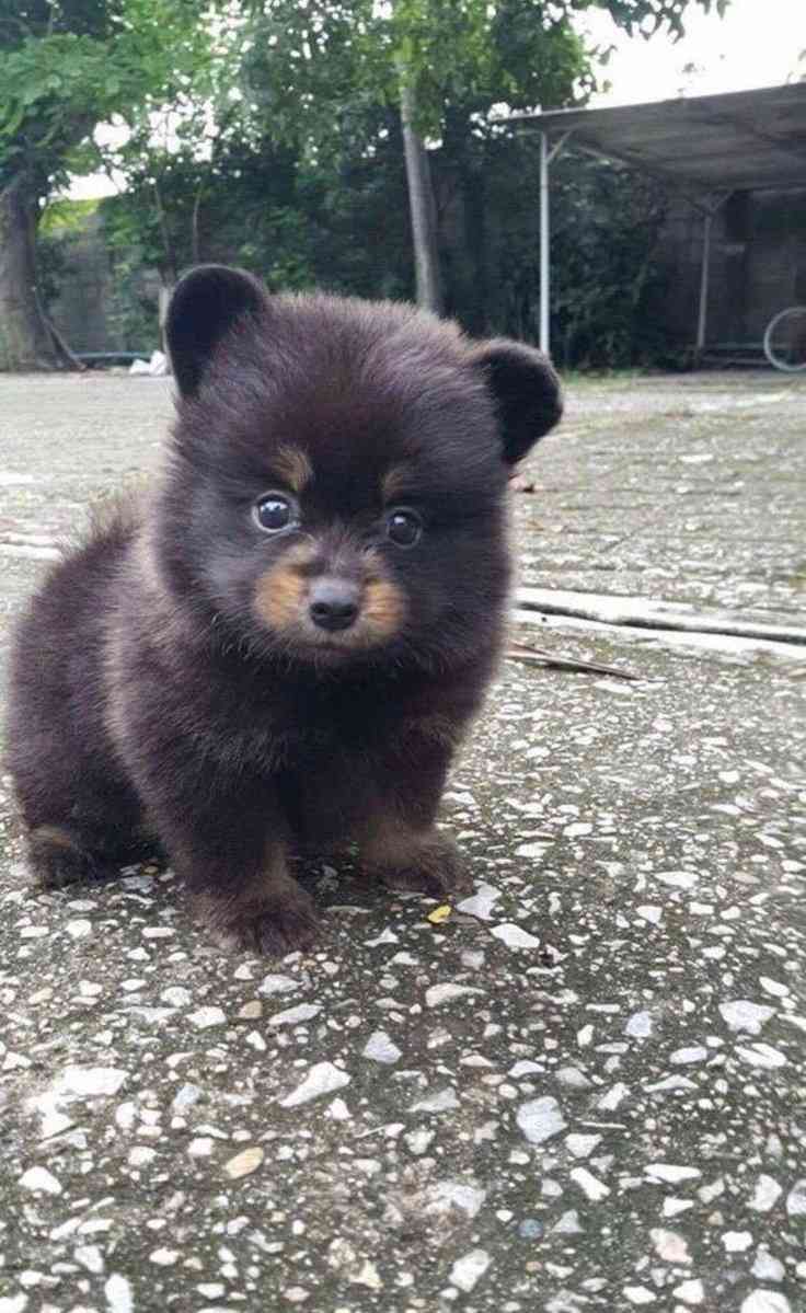 【あなたの画像フォルダのとっておき】見せてください～