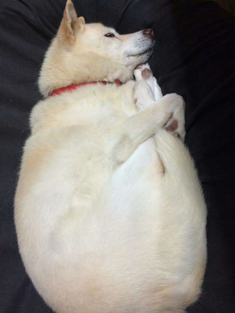 【あなたの画像フォルダのとっておき】見せてください～