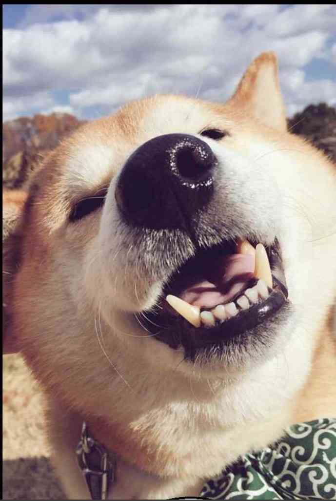 【あなたの画像フォルダのとっておき】見せてください～