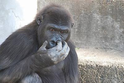 【あなたの画像フォルダのとっておき】見せてください～