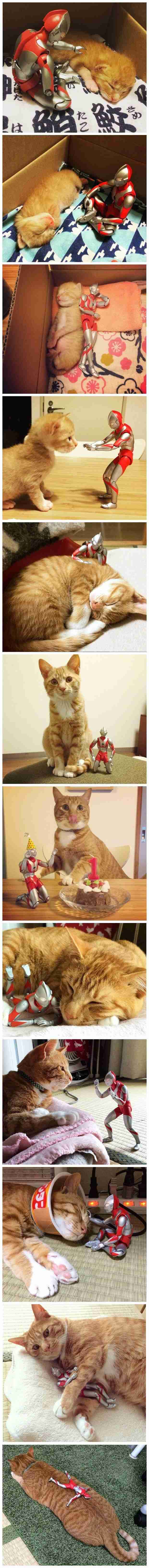 【あなたの画像フォルダのとっておき】見せてください～