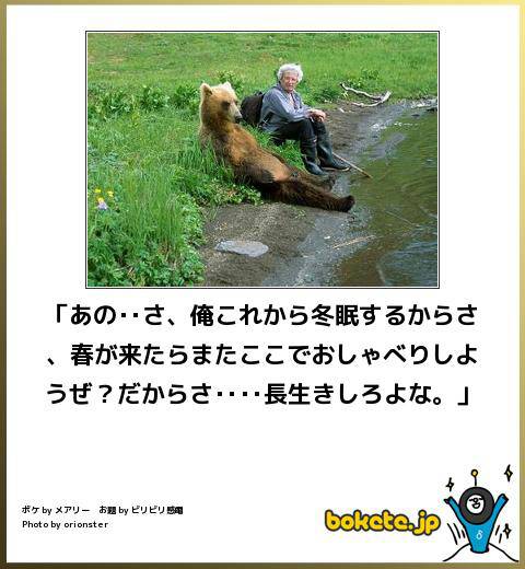 【あなたの画像フォルダのとっておき】見せてください～