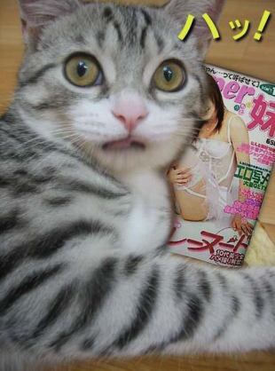 【あなたの画像フォルダのとっておき】見せてください～