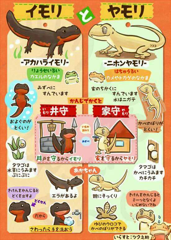 【あなたの画像フォルダのとっておき】見せてください～