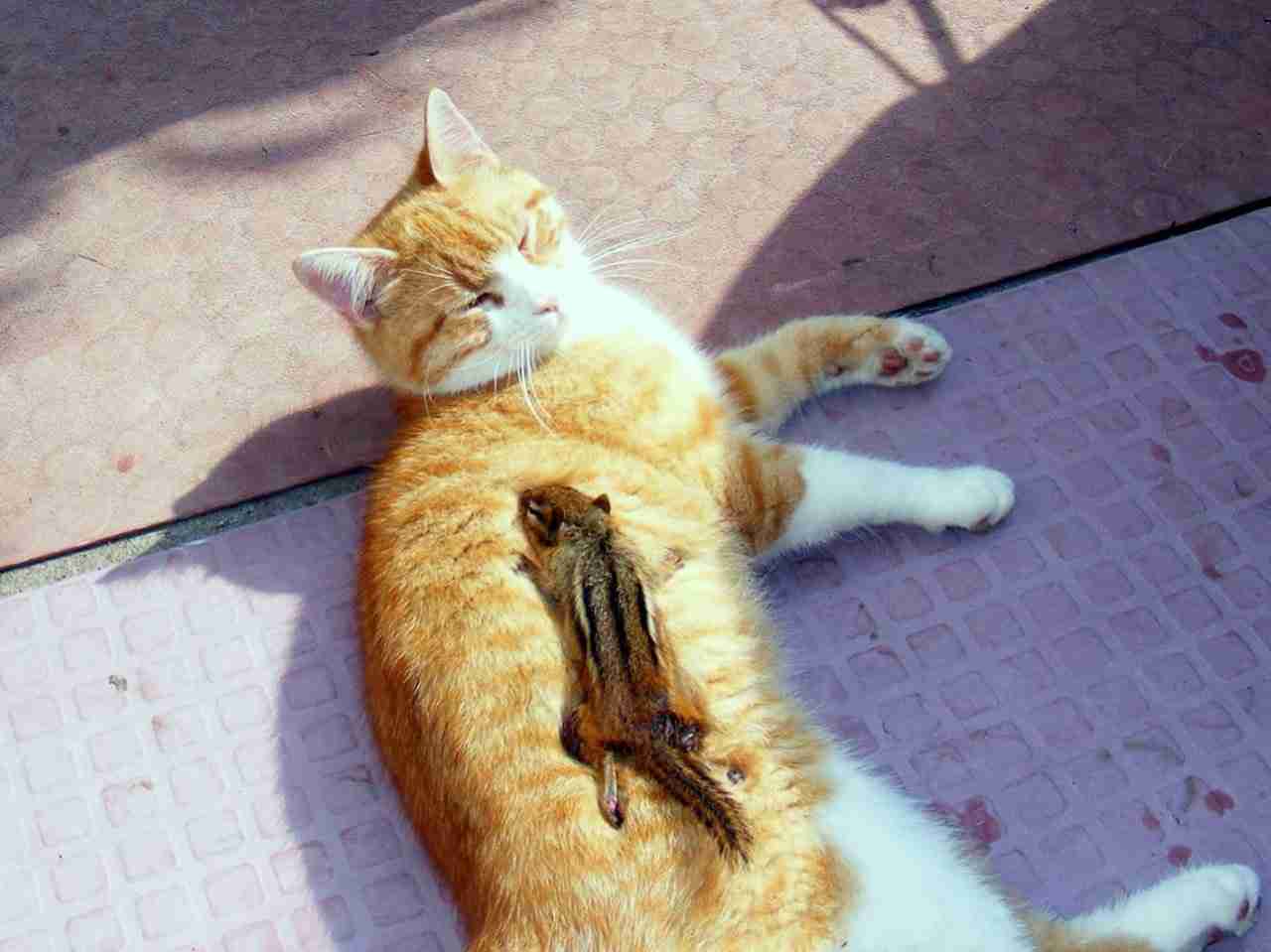 【あなたの画像フォルダのとっておき】見せてください～