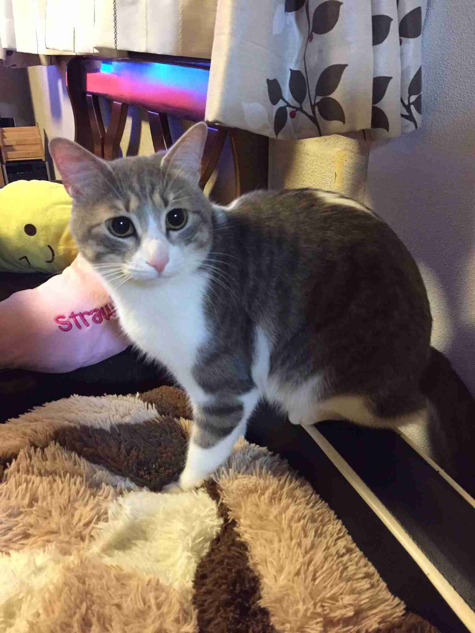 【あなたの画像フォルダのとっておき】見せてください～