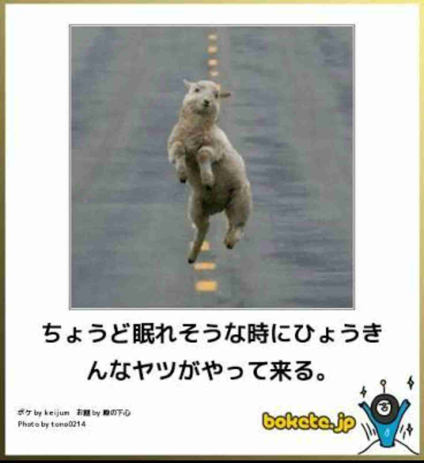 【あなたの画像フォルダのとっておき】見せてください～