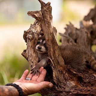 【あなたの画像フォルダのとっておき】見せてください～