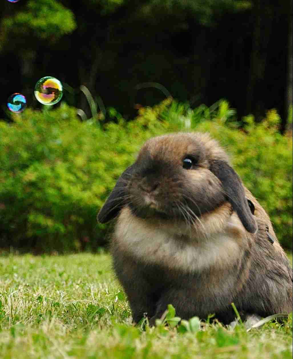 【あなたの画像フォルダのとっておき】見せてください～