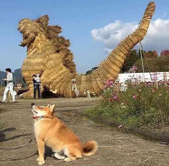 【あなたの画像フォルダのとっておき】見せてください～