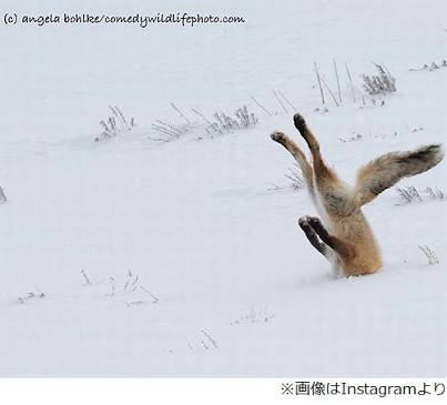 【あなたの画像フォルダのとっておき】見せてください～