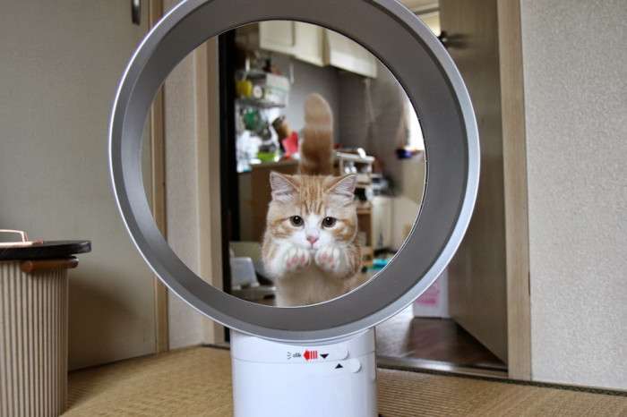 【あなたの画像フォルダのとっておき】見せてください～