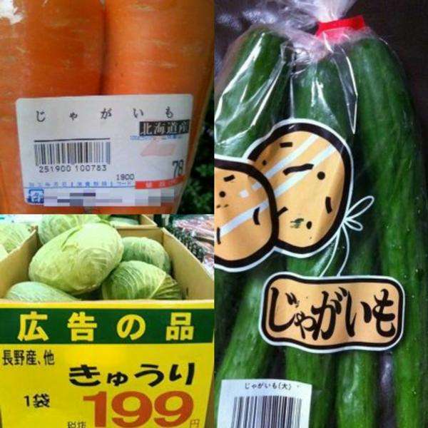 【あなたの画像フォルダのとっておき】見せてください～