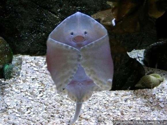 【あなたの画像フォルダのとっておき】見せてください～