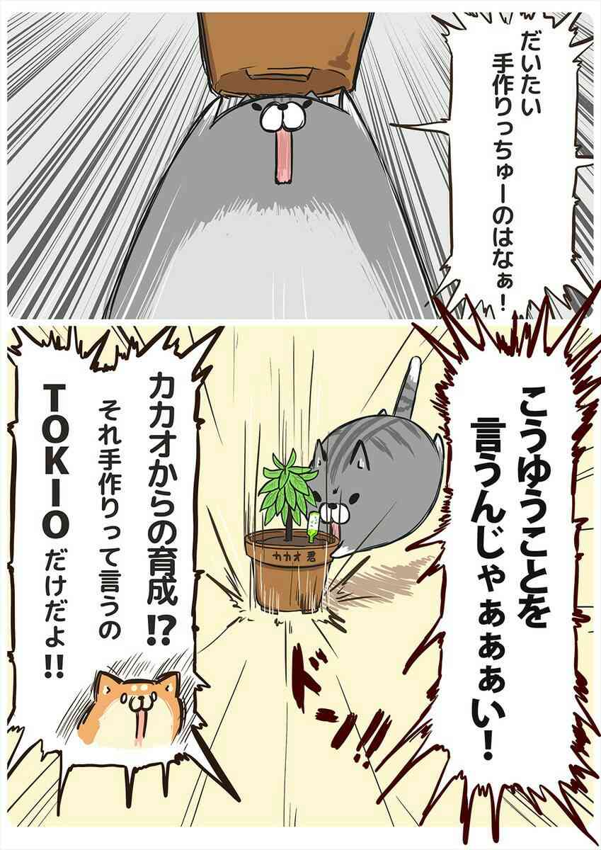 【あなたの画像フォルダのとっておき】見せてください～