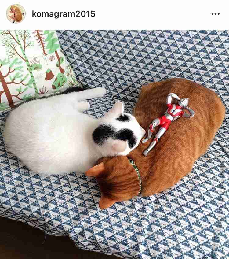 【あなたの画像フォルダのとっておき】見せてください～