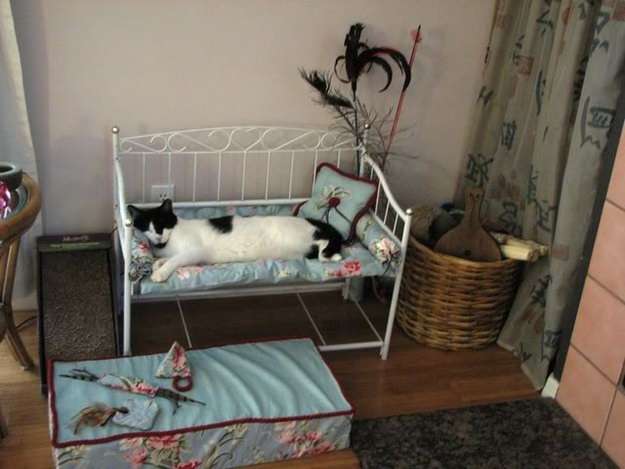 【あなたの画像フォルダのとっておき】見せてください～