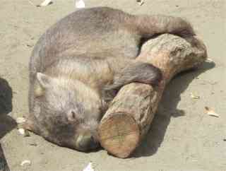 【あなたの画像フォルダのとっておき】見せてください～