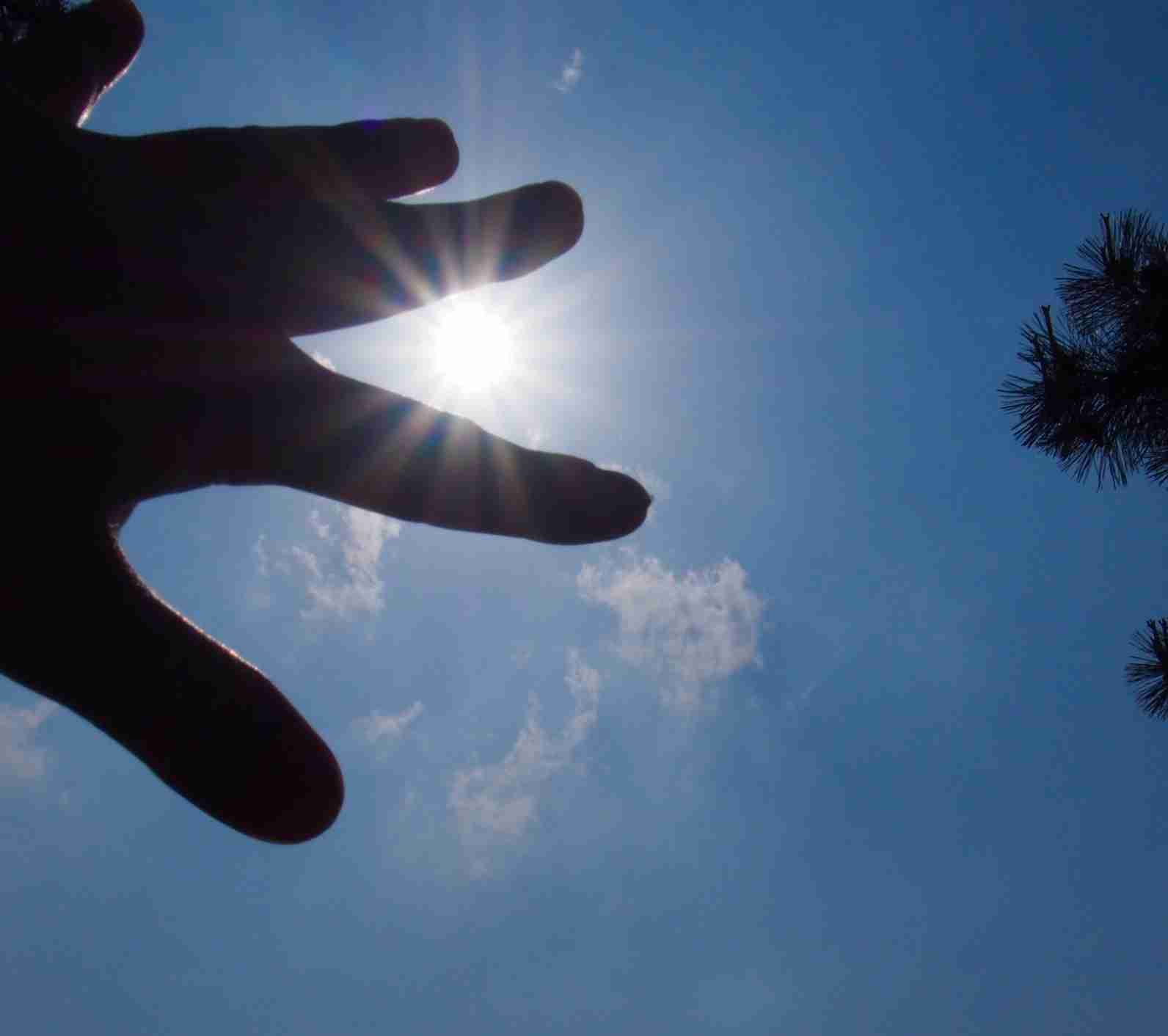 現実逃避に何をしますか？