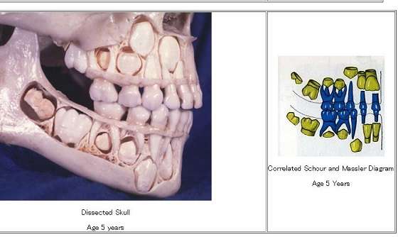 知らなきゃ良かったこと、ありませんか?