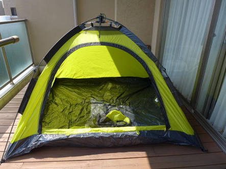 実家に自分の部屋残ってますか？