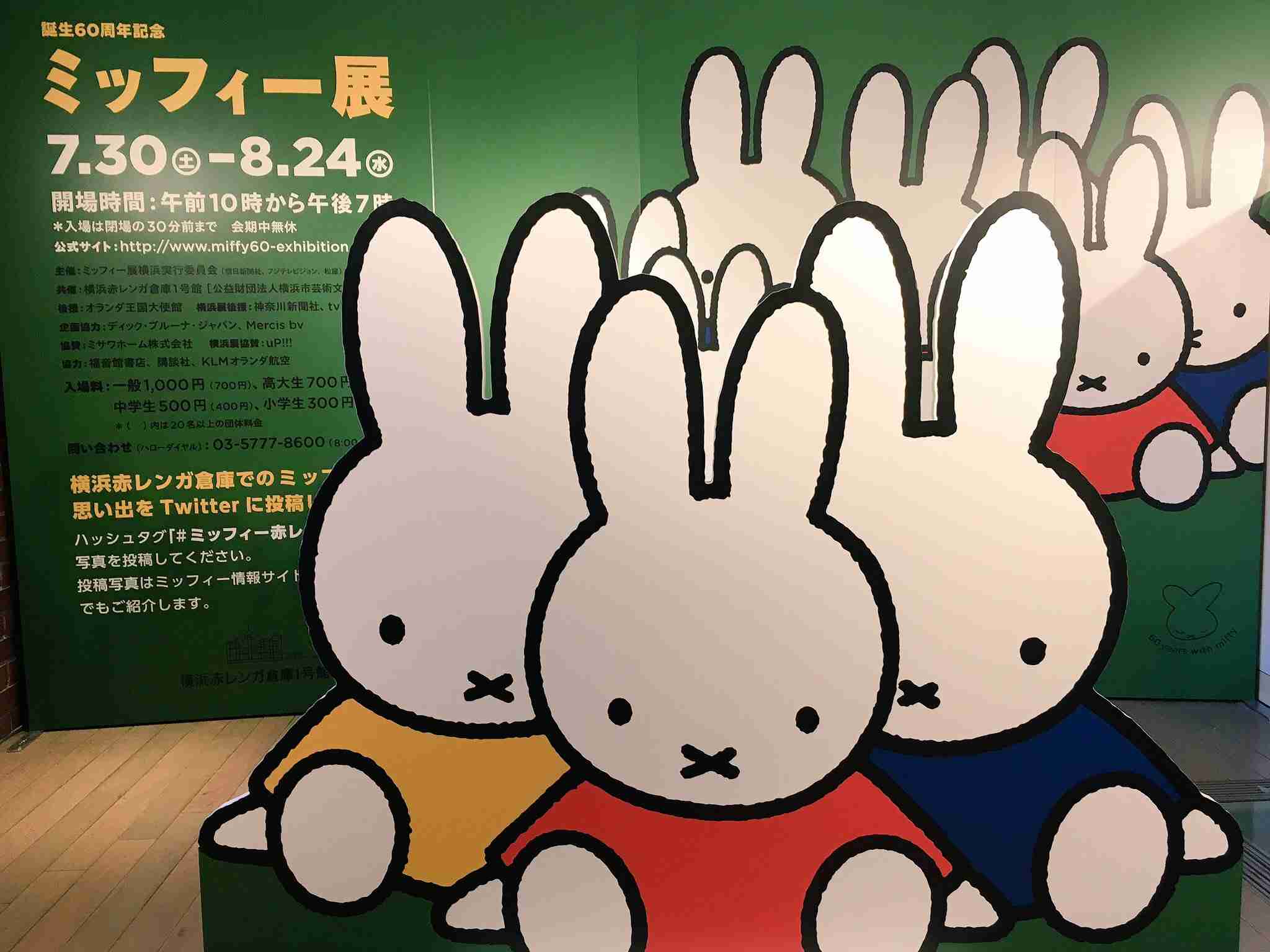 いろんな衣装のミッフィーが見たい!