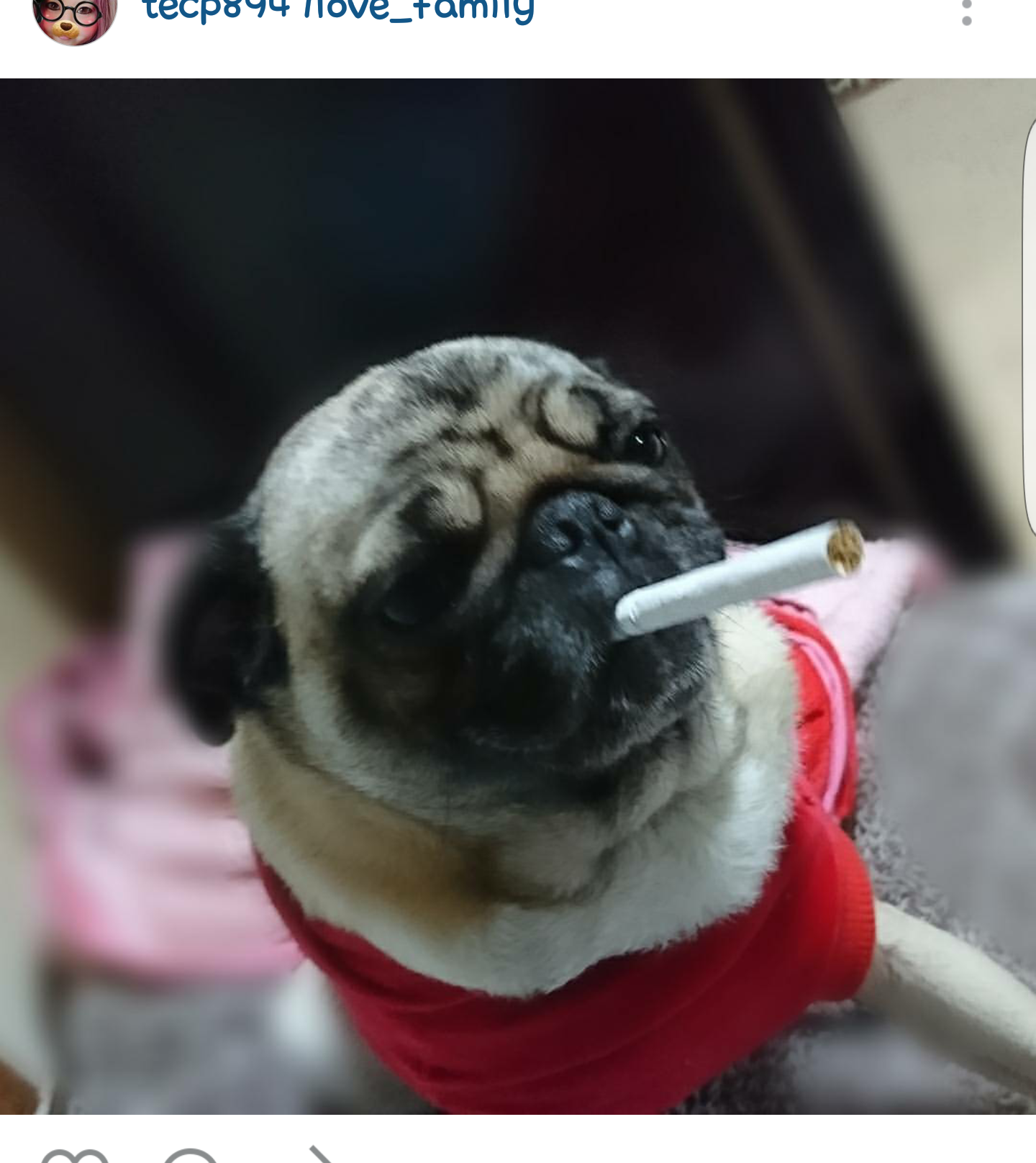 【閲覧注意】見てると不安になる画像を貼っていくトピ