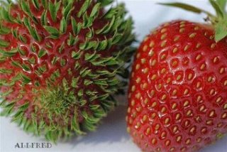 【閲覧注意】見てると不安になる画像を貼っていくトピ
