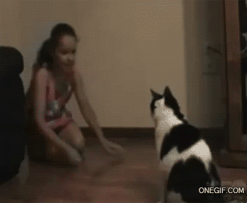 やっぱり男は強いなーと思った時