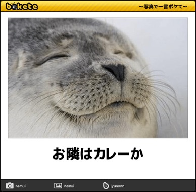 なんでもいいので笑えるもの元気がでるもの教えてください。