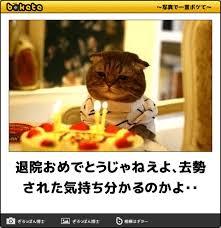 なんでもいいので笑えるもの元気がでるもの教えてください。