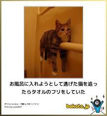 なんでもいいので笑えるもの元気がでるもの教えてください。