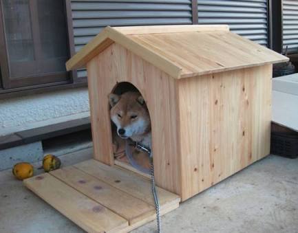 最近見ない光景