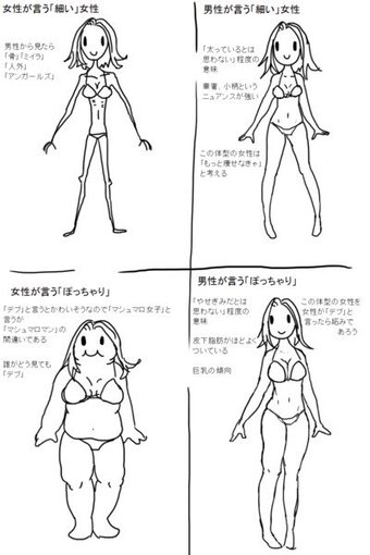 ぽっちゃりとデブの境目はどこですか？
