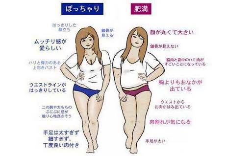 ぽっちゃりとデブの境目はどこですか？