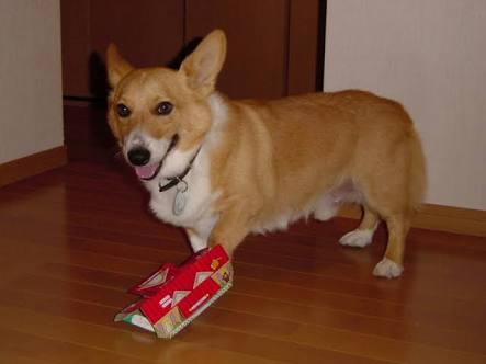 心にグッとくる切ない画像ください